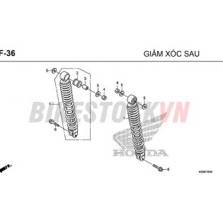 F-36_GIẢM SÓC SAU