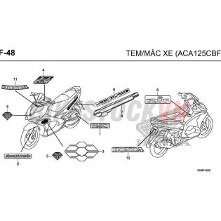 F-48_TEM/MÁC XE