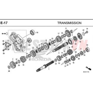 E-17_TRUYỀN ĐỘNG CUỐI