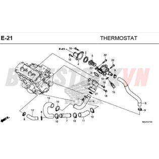 E-21_BỘ HỌNG GA