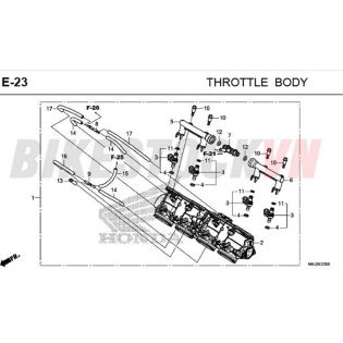 E-23_BỘ BƯỚM GA/ KIM PHUN