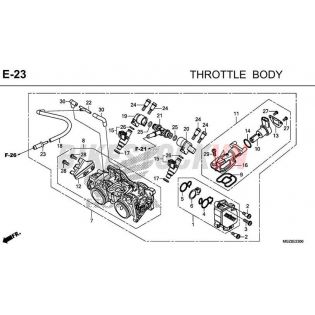 E-23_BỘ HỌNG GA