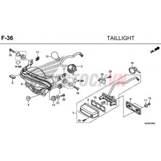 F-36_ĐÈN HẬU