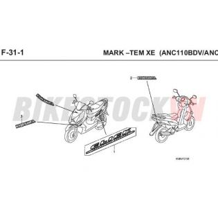 F-31-1_TEM XE 2006