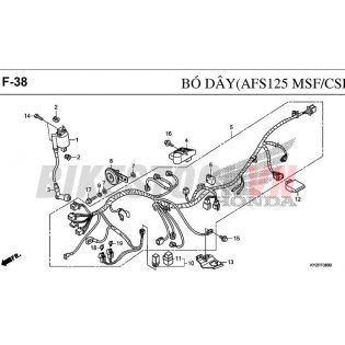 F-38_BÓ DÂY