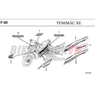 F-50_TEM/ MÁC