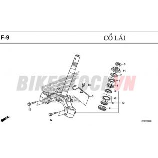 F-9_CỔ LÁI