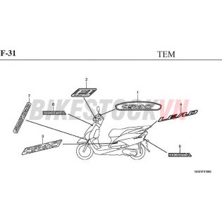 F-31_TEM/MÁC XE