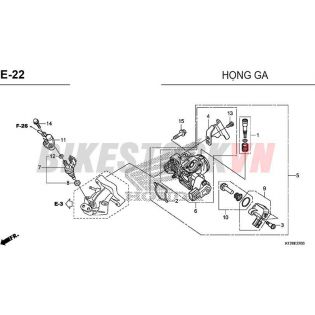 E-22_HỌNG GA