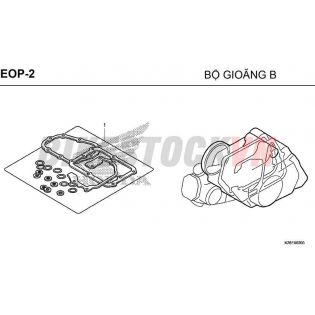 E-OP-2_BỘ GIOĂNG B