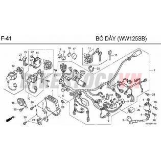 F41_BÓ DÂY