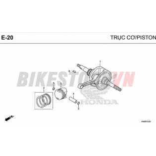 E20_TRỤC CƠ/ PISTON