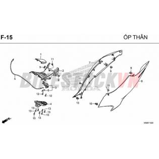 F15_ỐP THÂN