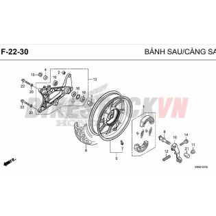 F20-30_BÁNH SAU/ CÀNG SAU