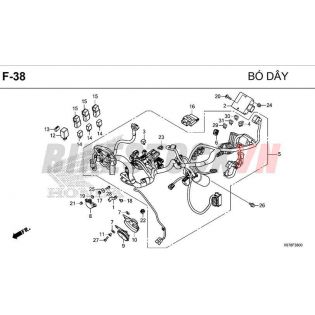 F38_BÓ DÂY