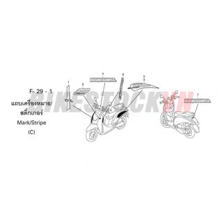 F-29-1_TEM/MÁC XE