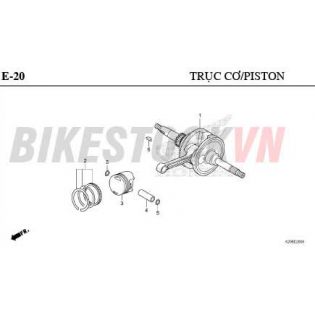 E-20_TRỤC CƠ/PISTON