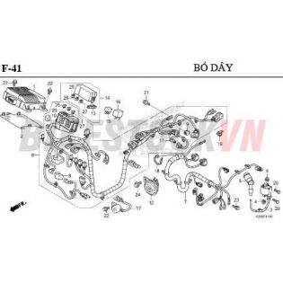 F-41_BÓ DÂY