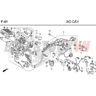 F41_BÓ DÂY