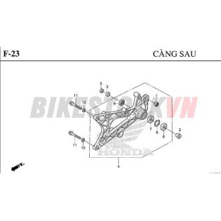 F-23_CÀNG SAU