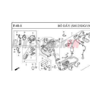 F-41-1_BÓ DÂY