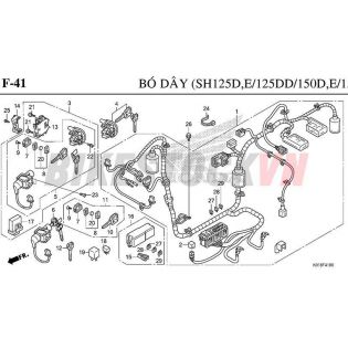 F-41_BÓ DÂY