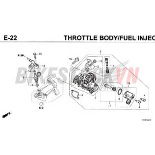 E-22_BỘ HỌNG GA