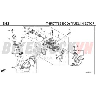 E-22_BỘ HỌNG GA