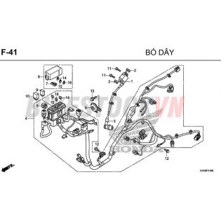 F41_BÓ DÂY