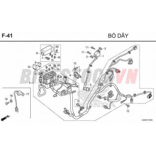 F41_BÓ DÂY