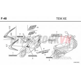 F48_TEM XE