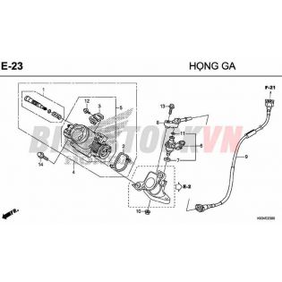 E23_HỌNG GA