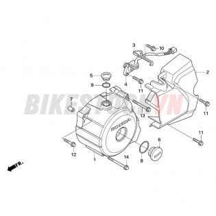 LEFT CRANKCASE COVER (1)