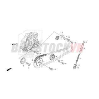 CAM CHAIN/TENSIONER