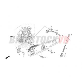 CAM CHAIN/TENSIONER