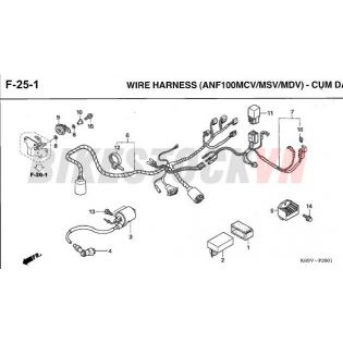 F-25-1_CỤM DÂY ĐIỆN CHÍNH