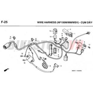 F-25_CỤM DÂY ĐIỆN CHÍNH