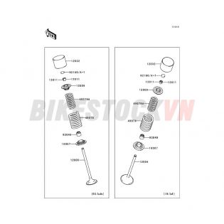 ENGINE VALVE(S)