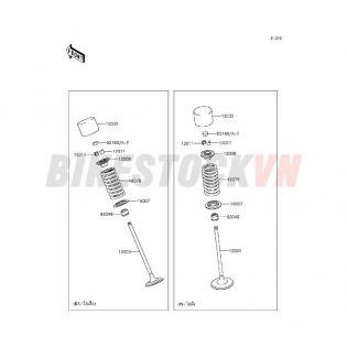 ENGINE VALVE(S)