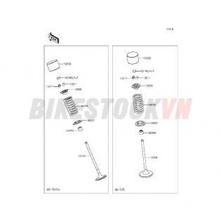 ENGINE VALVE(S)