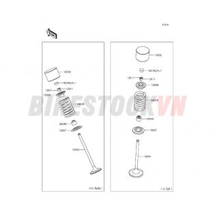 ENGINE VALVE(S)