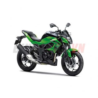 16 BR250FGF CANDY LIME GREEN