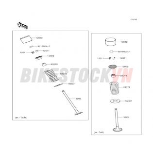 ENGINE VALVE(S)