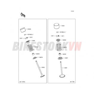 ENGINE VALVE(S)