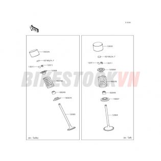 ENGINE VALVE(S)