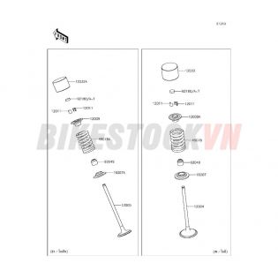 ENGINE VALVE(S)