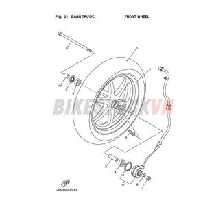 FIG-21_BÁNH TRƯỚC