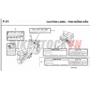 F31_TEM HƯỚNG DẪN