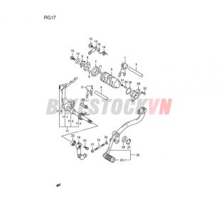 FIG-17_HEO SỐ