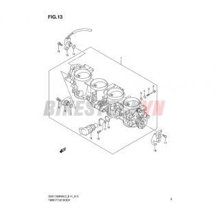 FIG-13_BỘ HỌNG GA